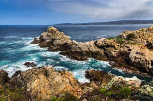 Point Lobos-3374.jpg Point Lobos-3374.jpg